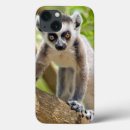 Search for lemur cases Animal