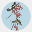 Recherche de audubon autocollants Oiseaux