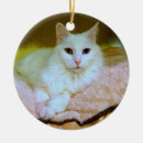 Search for turkish ornaments White