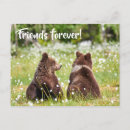 Search for forever horizontal postcards Friendship