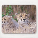 Search for gavriel jecan mousepads Environment