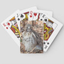 Recherche de queue jeux de cartes Animal