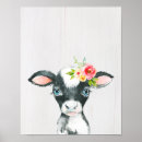 Recherche de blanche de vache Ferme