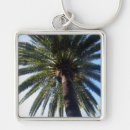 Recherche de california porteclés Palmier