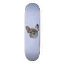 Recherche de bulldog skateboards Bulldog français gris
