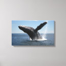 Search for breaching art Mammal
