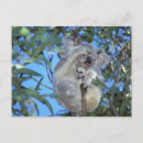 Search for behaviour postcards Fur