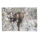 Search for baby animals pillowcases Animals in the wild
