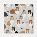 Search for rough magnets Collie