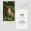 Recherche de renards renard cartes visite Boisé