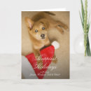 Search for high angle view cards Dog