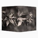 Search for maple leaf binders Foliage
