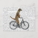 Recherche de meerkat Vélo