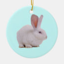 Search for cute bunny rabbit ornaments Kawaii
