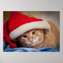 Search for cat in clothes posters Photography