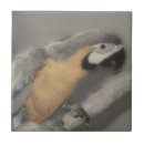 Search for black and white photo tiles Cute