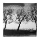 Recherche de arbre noir carreaux Boisé