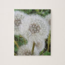 Search for dandelion puzzles Green
