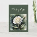 Search for thinking of you rose cards Roses
