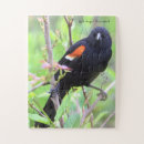 Recherche de ailes puzzles Pour tous