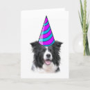 Search for collie birthday cards Herding