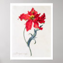 Recherche de tulipe perroquet art Fleurs
