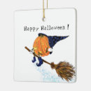 Search for broom ornaments Flying