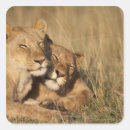 Search for reserves stickers Wildlife