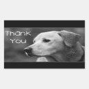 Search for dog white rectangle stickers Labrador retriever