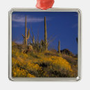 Search for pipe organ ornaments Arid