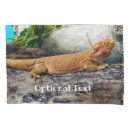 Search for lizard pillowcases Animal
