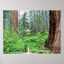 Recherche de giant posters Forêt