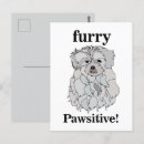 Recherche de maltais cartes postales Blanc