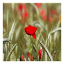 Recherche de peintures acryliques posters Rouge