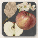 Search for apples barware Botanical