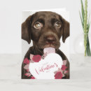 Search for labrador valentines day cards Animal