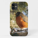 Search for robin bird iphone cases Nature