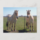 Recherche de fjord norvégien cartes postales Cheval