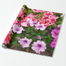 Search for agriculture wrapping paper Background