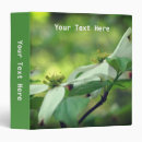 Recherche de cornouiller blanc Fleur