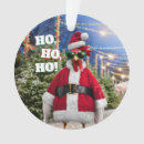 Search for chicken ornaments Funny