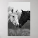 Recherche de photographies posters Amis