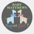 Search for gender reveal with giraffe Girl
