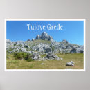 Recherche de dalmate photographie Photographe