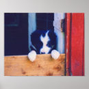 Search for collie painting posters Animal