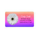 Search for gerberas labels Purple