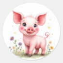 Search for animal eye stickers Illustration