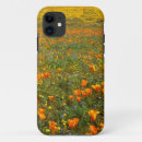 Search for california poppies iphone cases Bloom