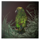 Search for new zealand tiles Colourful