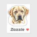 Recherche de labrador retriever jaune autocollants Extracteur